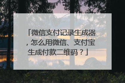 微信支付记录生成器,怎么用微信、支付宝生成付款二维码?