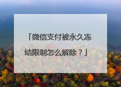 微信支付被永久冻结限制怎么解除?