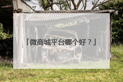 微商城平台哪个好?
