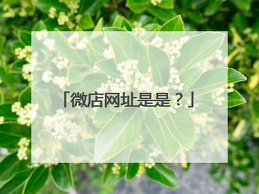微店网址是是?