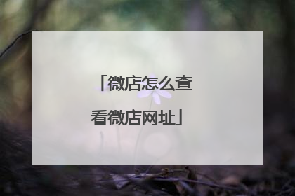 微店怎么查看微店网址