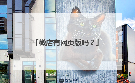 微店有网页版吗?