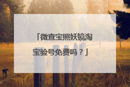 微查宝照妖镜淘宝验号免费吗?