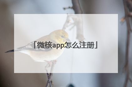 微核app怎么注册