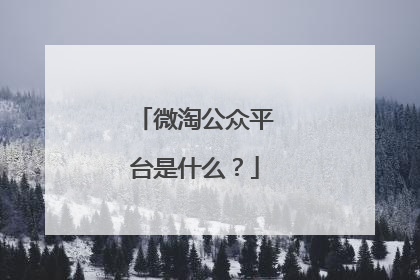 微淘公众平台是什么？