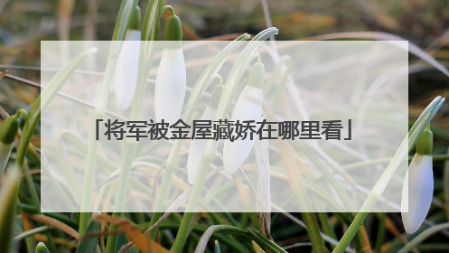 将军被金屋藏娇在哪里看