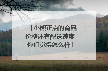 小熊正点的商品价格还有配送速度你们觉得怎么样