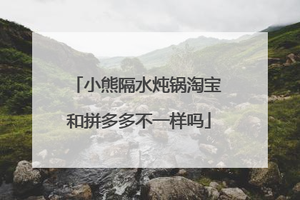 小熊隔水炖锅淘宝和拼多多不一样吗