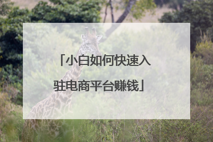 小白如何快速入驻电商平台赚钱