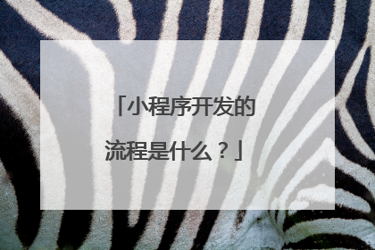 小程序开发的流程是什么?