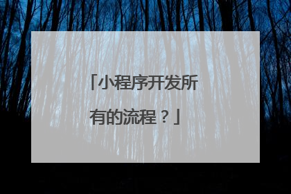 小程序开发所有的流程?