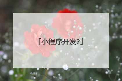 小程序开发?