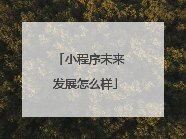 小程序未来发展怎么样