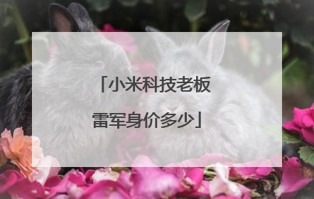 小米科技老板雷军身价多少