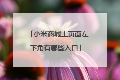 小米商城主页面左下角有哪些入口