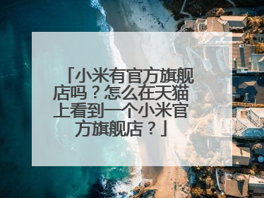 小米有官方旗舰店吗?怎么在天猫上看到一个小米官方旗舰店?