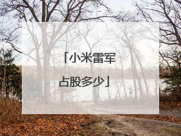 小米雷军占股多少