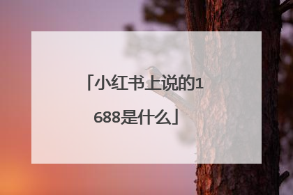 小红书上说的1688是什么