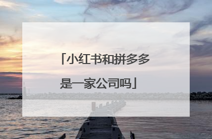 小红书和拼多多是一家公司吗