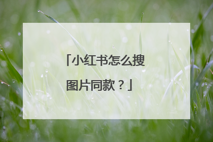 小红书怎么搜图片同款？