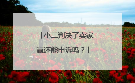 小二判决了卖家赢还能申诉吗?