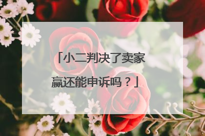 小二判决了卖家赢还能申诉吗?