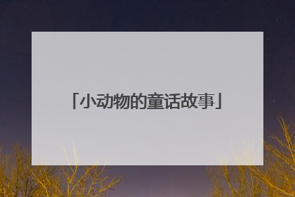小动物的童话故事