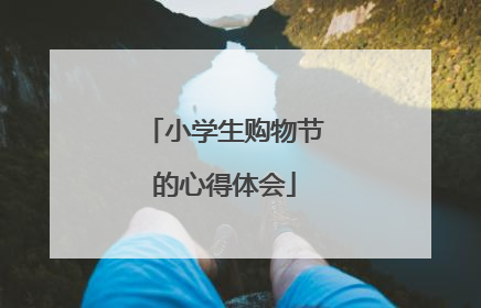 小学生购物节的心得体会