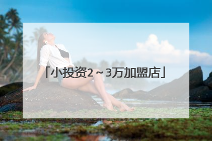 小投资2～3万加盟店