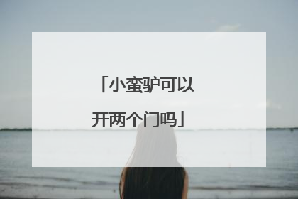 小蛮驴可以开两个门吗