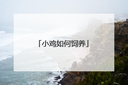 小鸡如何饲养