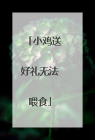 小鸡送好礼无法喂食