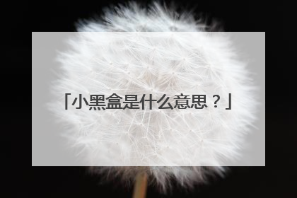 小黑盒是什么意思?