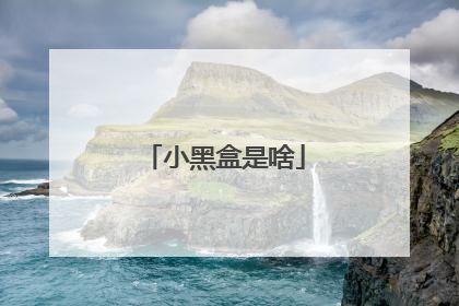 小黑盒是啥