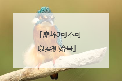 崩坏3可不可以买初始号