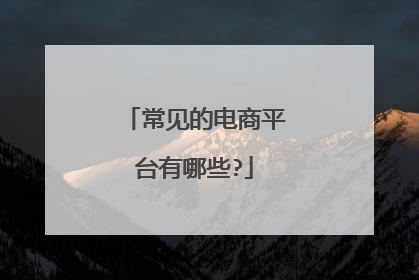 常见的电商平台有哪些?