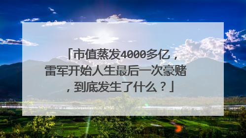 市值蒸发4000多亿,雷军开始人生最后一次豪赌,到底发生了什么?