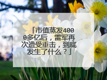 市值蒸发4000多亿后,雷军再次遭受重击,到底发生了什么?