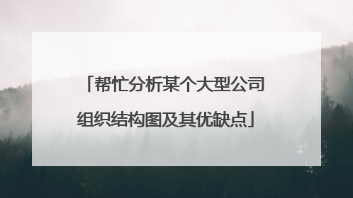 帮忙分析某个大型公司组织结构图及其优缺点