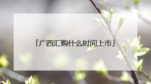 广西汇购什么时间上市
