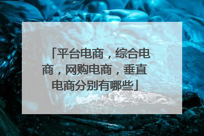 平台电商,综合电商,网购电商,垂直电商分别有哪些