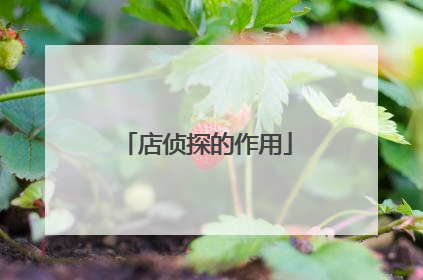 店侦探的作用