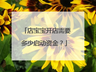 店宝宝开店需要多少启动资金?