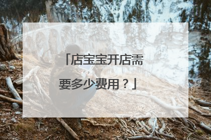 店宝宝开店需要多少费用?
