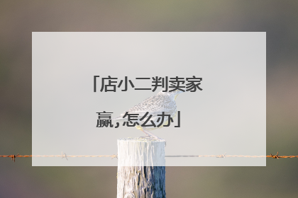 店小二判卖家赢,怎么办