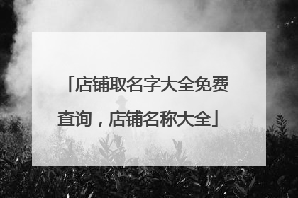店铺取名字大全免费查询,店铺名称大全