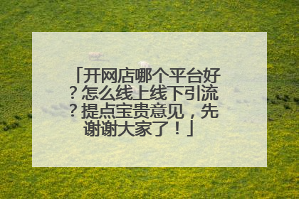 开网店哪个平台好?怎么线上线下引流?提点宝贵意见,先谢谢大家了!