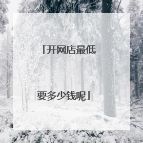 开网店最低要多少钱呢