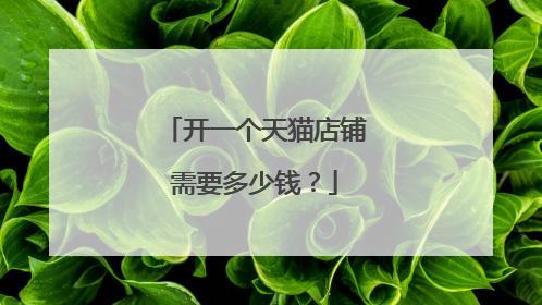开一个天猫店铺需要多少钱?