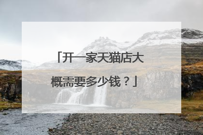开一家天猫店大概需要多少钱?